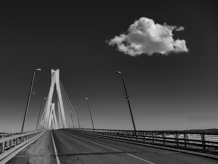 

A Grayscale Of The Arthur Ravenel Jr Bridge In South Carolina