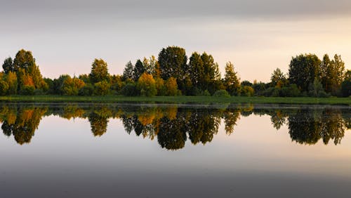 Free Scenic View of Trees near the Lake Stock Photo
