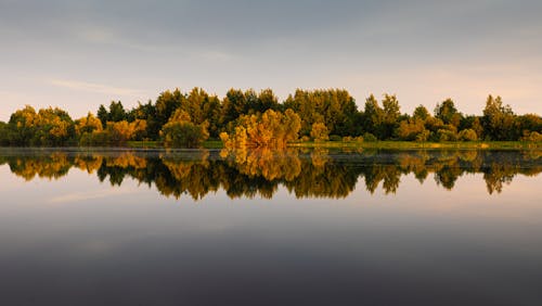 Free Scenic View of Trees near the Lake Stock Photo