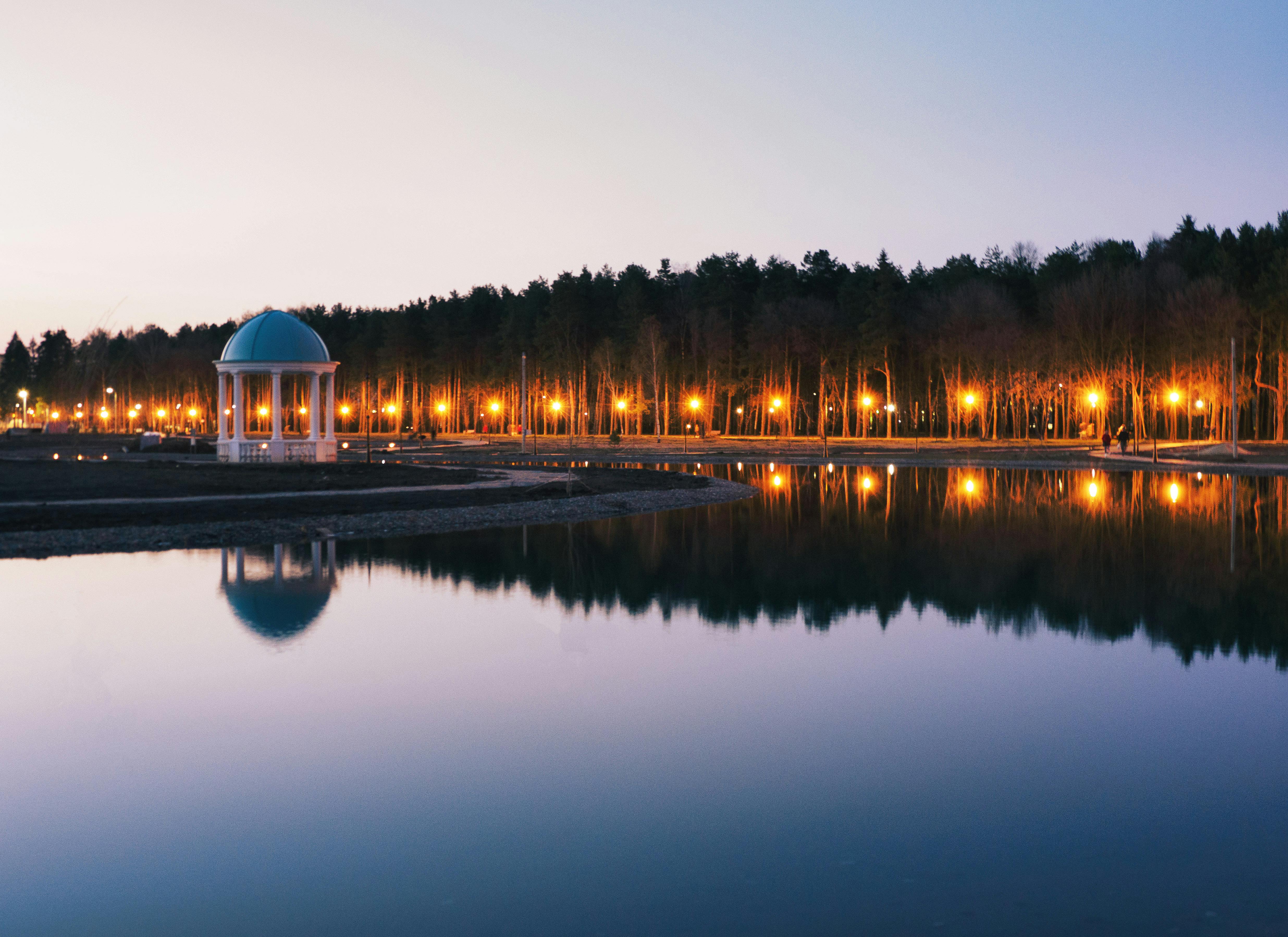 Foto de stock gratuita sobre agua, anochecer, arboles, azul, bosque