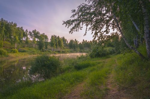 Free Peaceful forest path by a calm lake in Kurgan, Russia during summer twilight, showcasing nature's beauty. Stock Photo