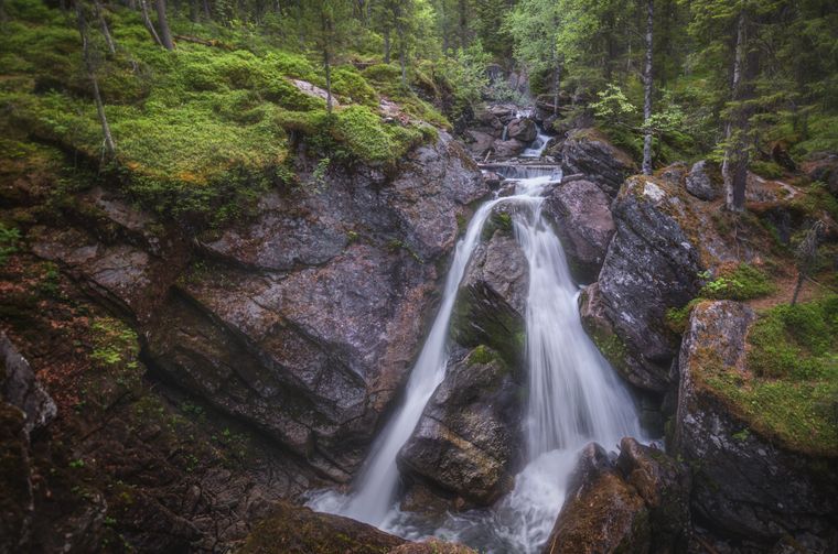 Waterfall cascading over mossy rocks in a green forest — photo by Илья Толстоноженко on Pexels