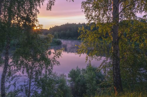 Free Peaceful sunrise over a forest lake in Kurgan Oblast, Russia, highlighting vibrant colors and tranquil nature. Stock Photo