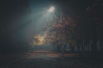 Cinematic still — Pexels