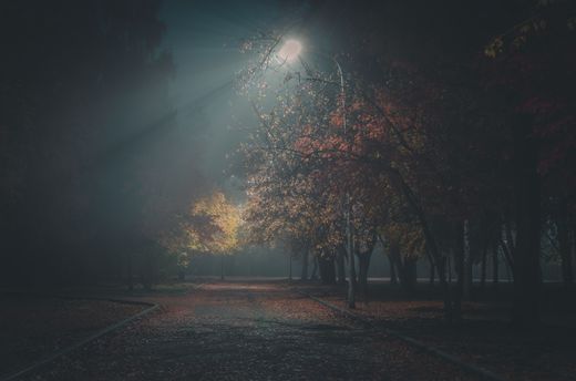 Lamplit park path on an autumn night — Илья Толстоноженко on Pexels