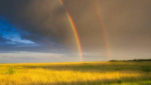 Free Stunning double rainbow over a golden field in Russia, showcasing vibrant nature and scenery. Stock Photo