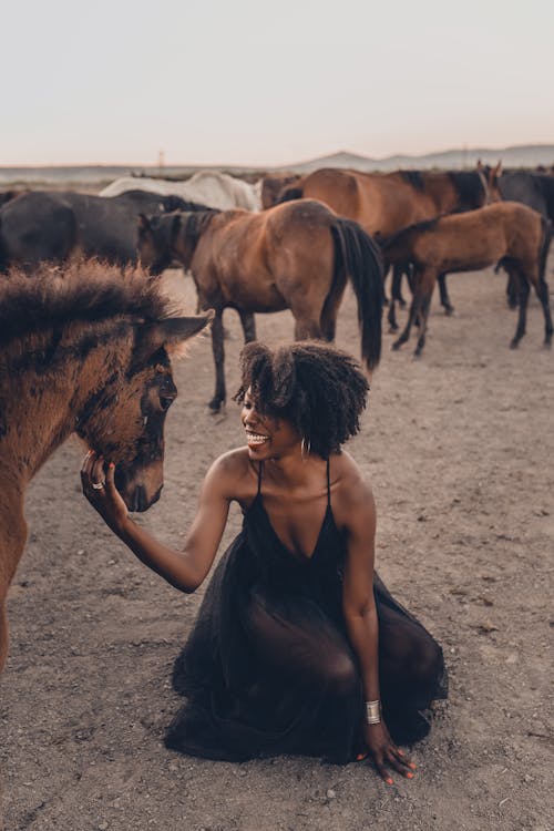 Woman in Black Tank Top Holding Brown Horse