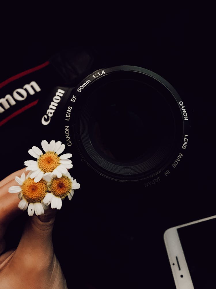 Hand Holding White Flowers Next To Camera And Smart Phone