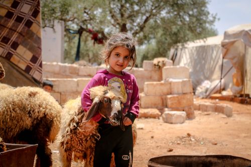 Free A young girl in rural Syria lovingly holds a goat, capturing innocence and warmth. Stock Photo