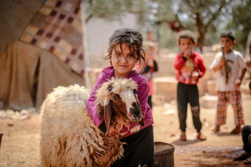 Free A young girl embraces a sheep in a rustic Syrian setting with children playing nearby. Stock Photo