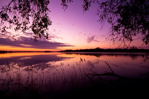 Free Serene twilight scene with a purple sky reflecting on a calm lake, surrounded by trees. Stock Photo