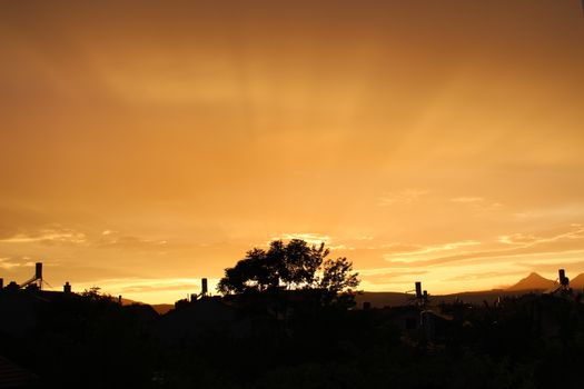 Stunning silhouette of trees and rooftops against a vibrant orange sunset sky.
