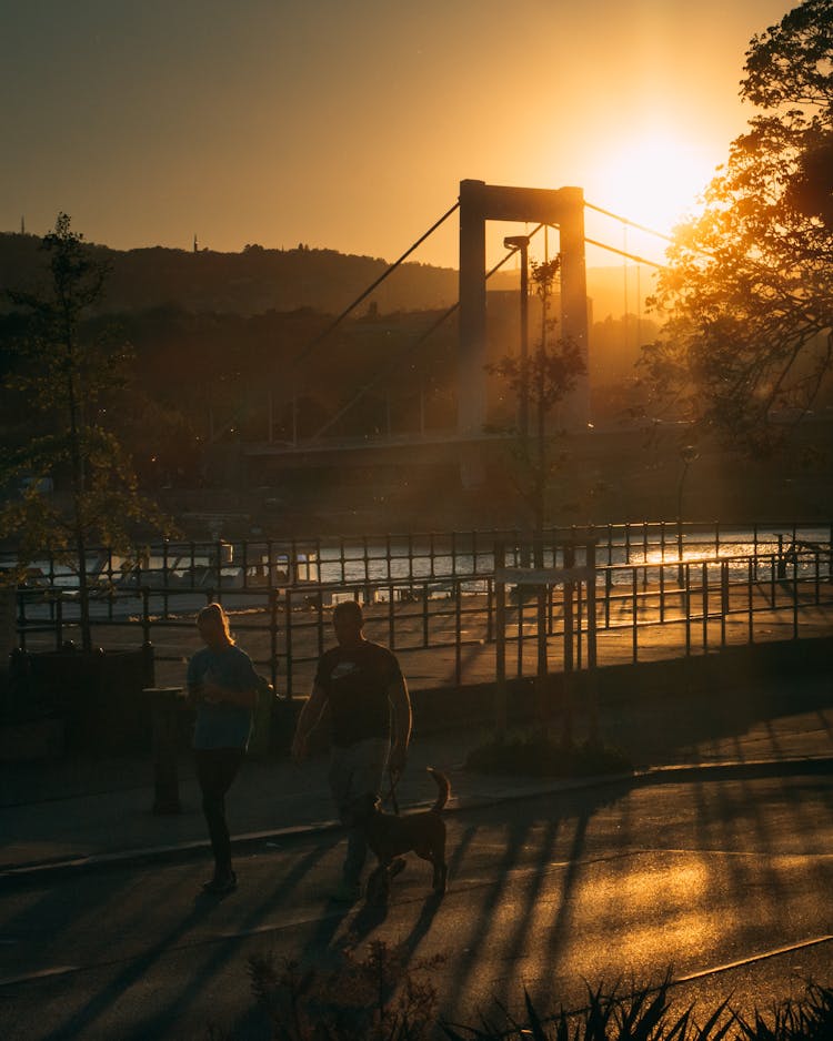 Silhouette Of A Couple Walking Together With Their Dog