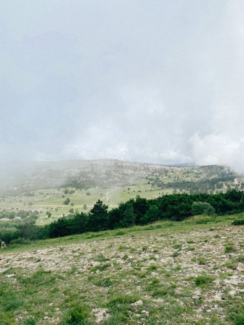 Serene misty mountain landscape with green fields and cloudy sky, a perfect nature scene.