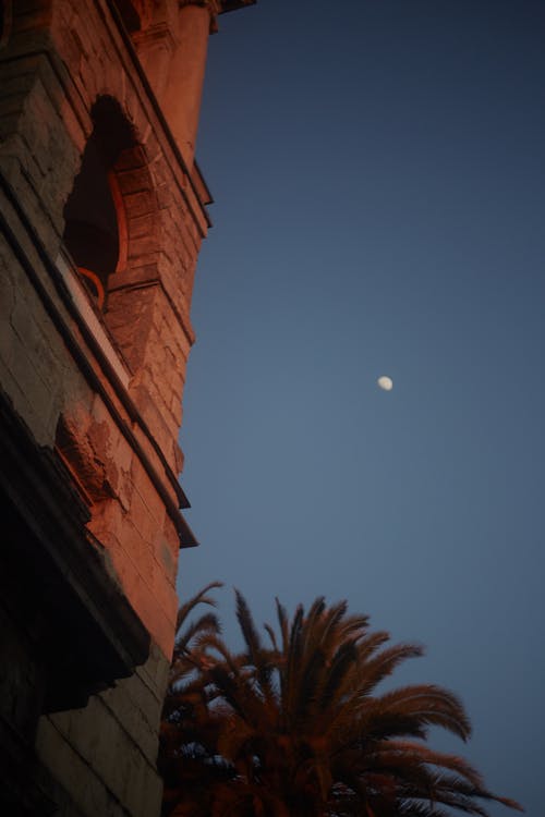 คลังภาพถ่ายฟรี ของ คืนท้องฟ้า, ตอนเย็น, พระจันทร์ครึ่งซีก