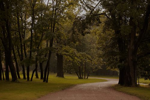 Free A serene view of a winding pathway through lush trees in Gatchina Park, Russia. Stock Photo
