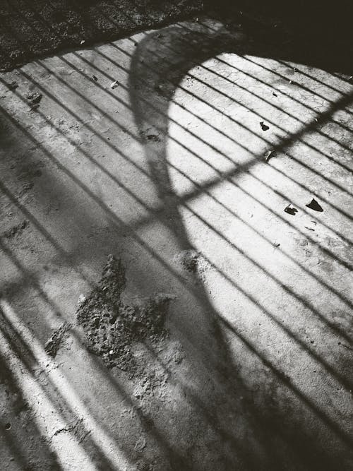 Free Shadow of Metal Fence on the Floor Stock Photo