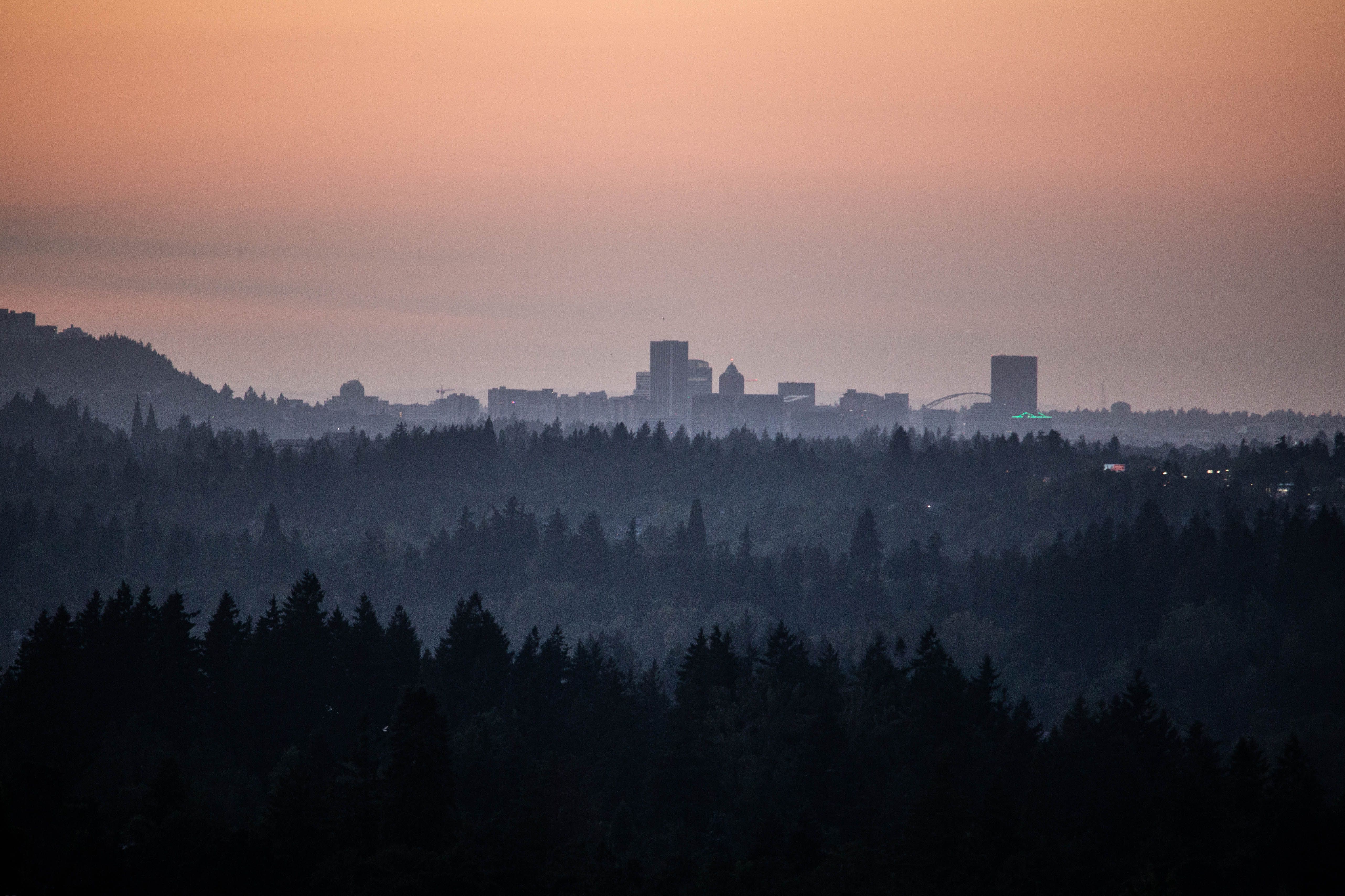 Captivating view of Portland's skyline silhouetted against a twilight sky with dense forest in the foreground.