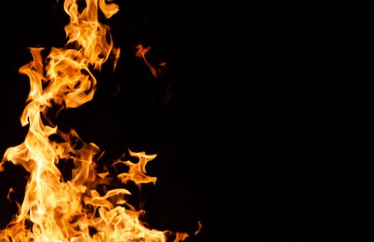Vibrant flames on a black background create a dramatic and fiery scene.