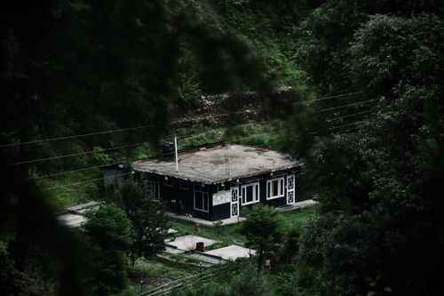 Free Isolated house nestled in dense green forest, offering tranquility and nature escape. Stock Photo