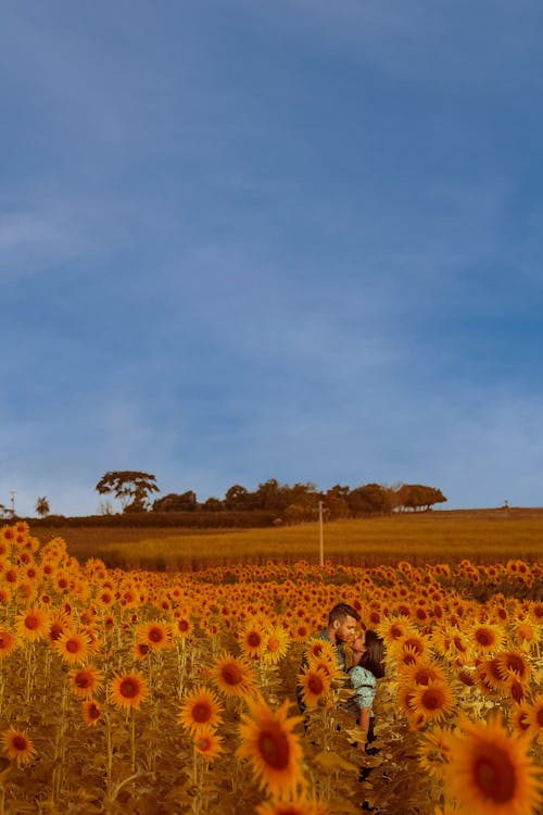 A Couple Standing on the Sunflower Field