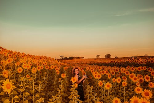 Free A Woman Standing on the Sunflower Field Stock Photo