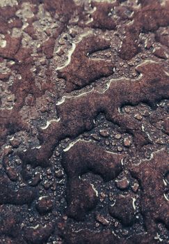 Macro shot of rain droplets on brown textured surface, abstract pattern.