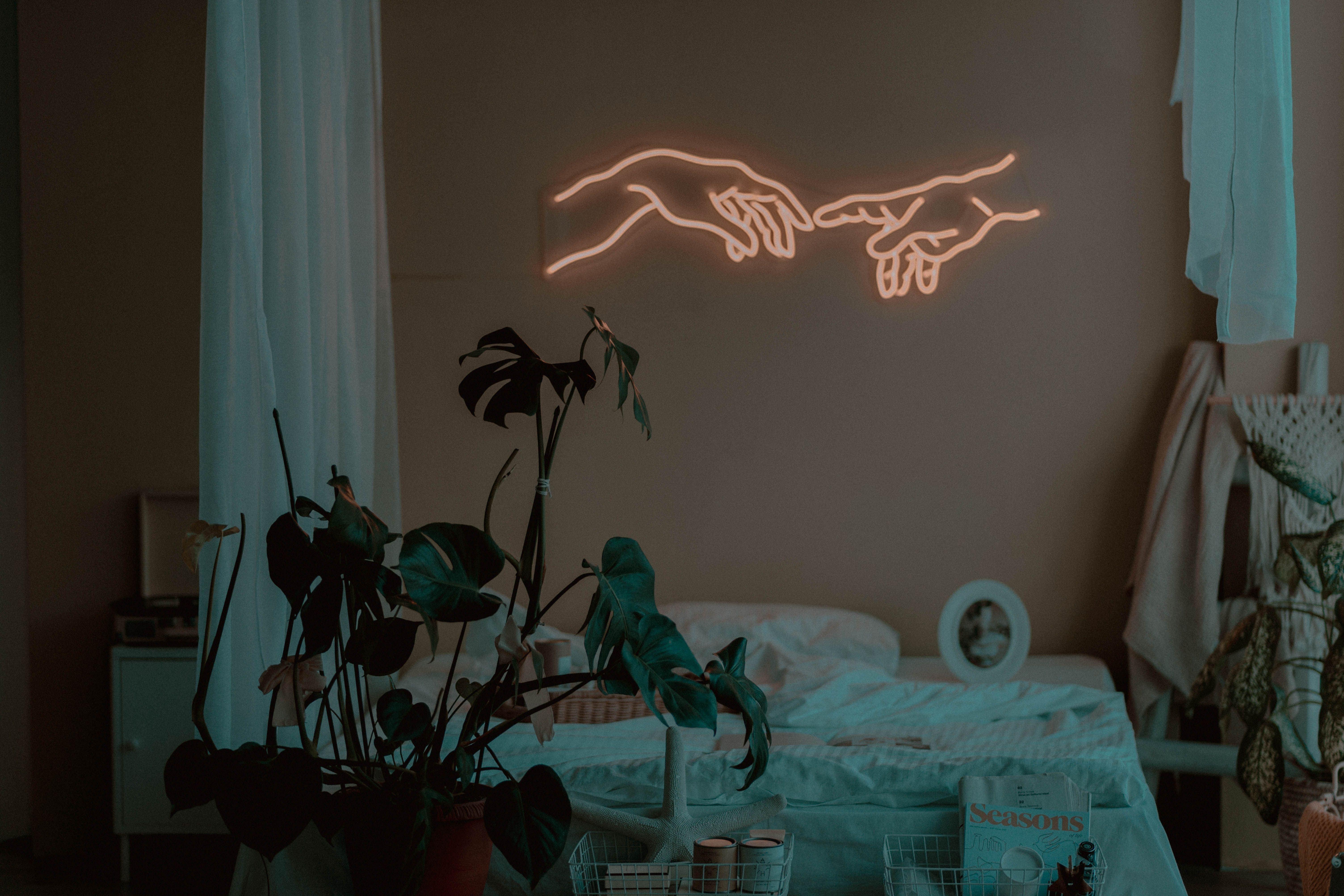 Neon buizen accentueren vintage kameresthetiek.