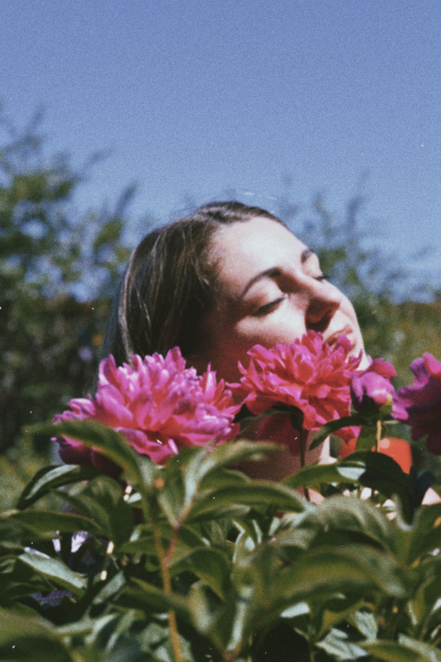 Woman in Field of Pink Flowers · Free Stock Photo