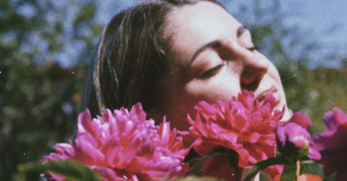 Woman In Flowers Woman in Field of Pink Flowers · Free Stock Photo