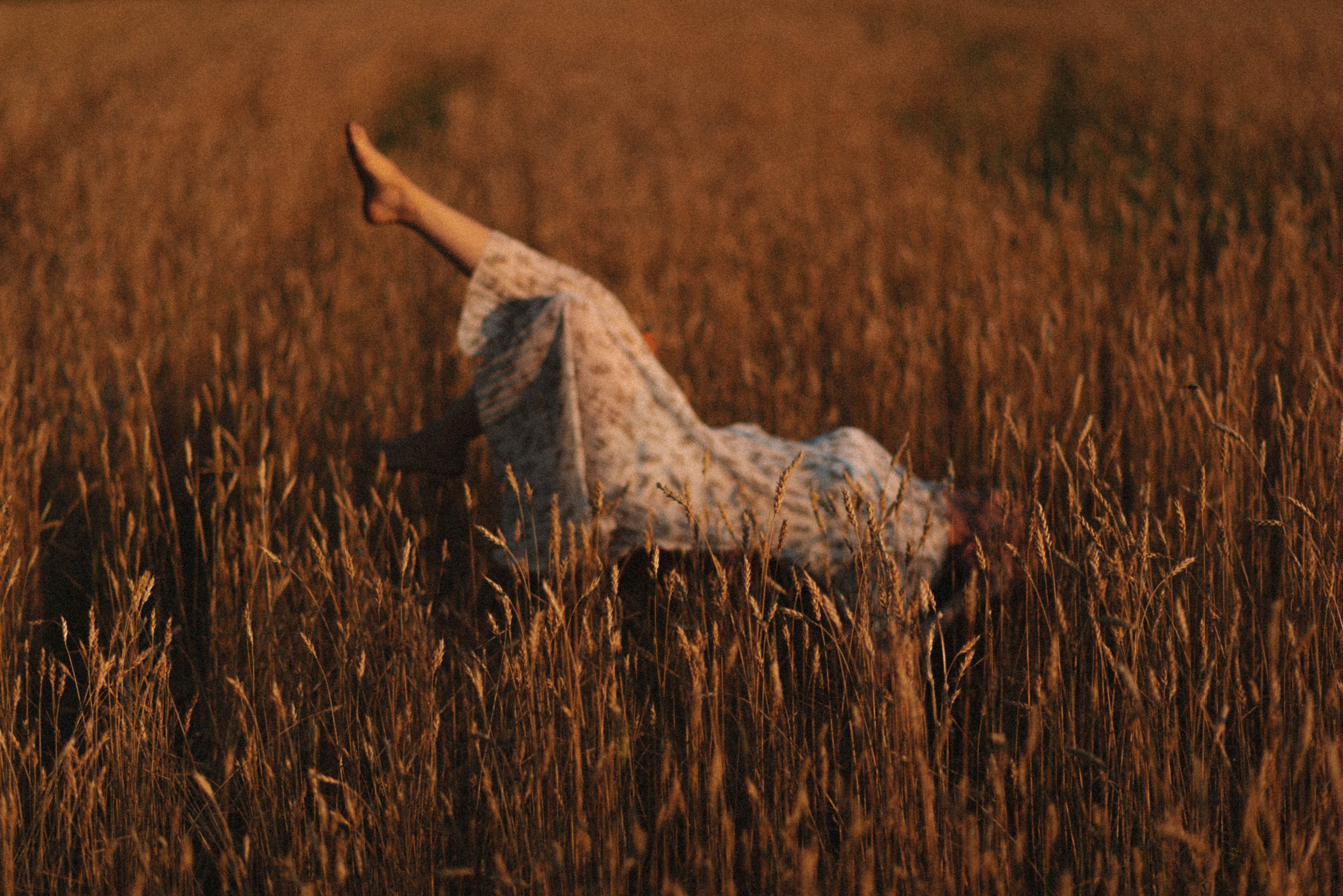 A woman relaxes gracefully in a golden wheat field during sunset, capturing natural beauty.