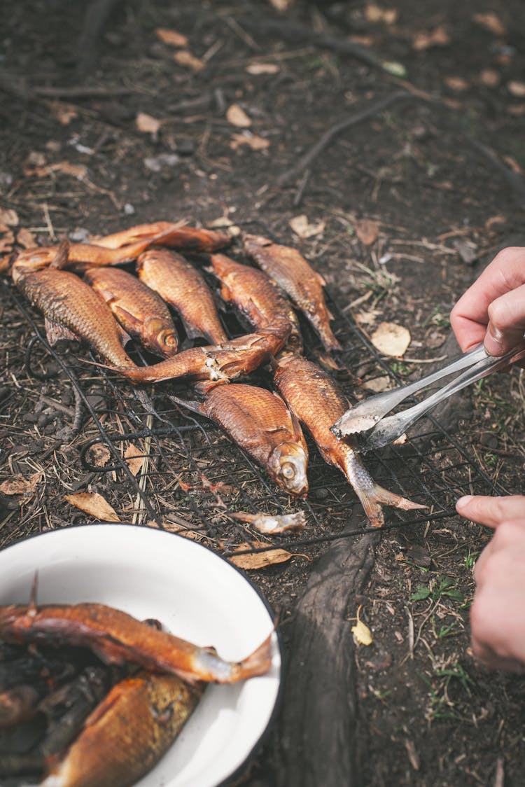 Person Grilling A Fish 