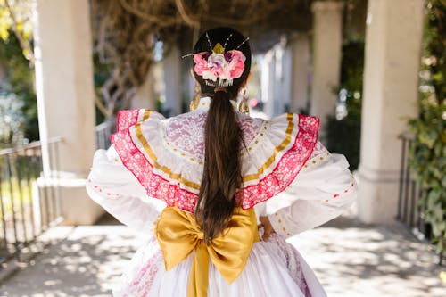 Free Back View of a Person in a Traditional Mexican Dress Stock Photo