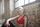 fit woman