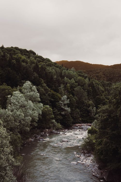 Free Peaceful river meandering through a lush forest under overcast skies, capturing nature's tranquility. Stock Photo