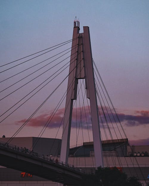 View of a Suspension Bridge at Dusk