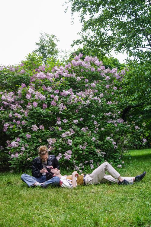 Free A couple enjoying a peaceful moment in a park, sitting near a blooming lilac bush. Stock Photo