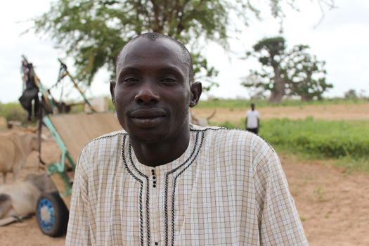 Portrait of an African farmer smiling in a rural landscape, with cattle and greenery in the background.