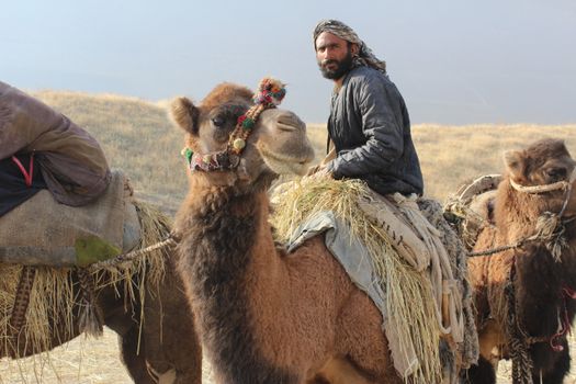 A bearded man wearing a shawl rides camels in the arid Takhar desert landscape.