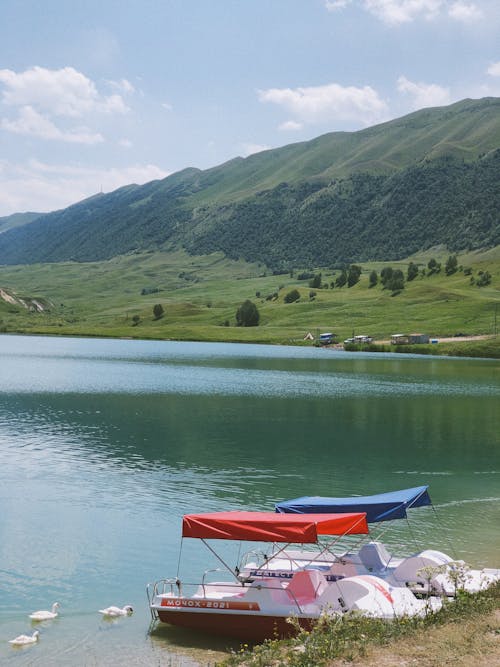 Darmowe zdjęcie z galerii z góra, jezioro, pionowy strzał