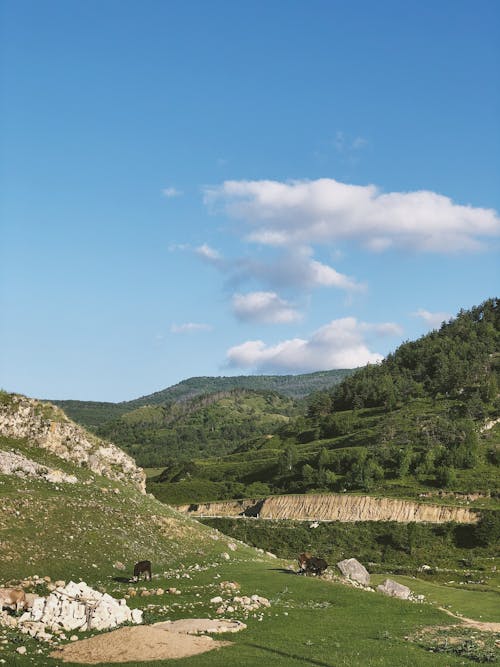 Darmowe zdjęcie z galerii z hillwalking, krajobraz górski, obszar górski