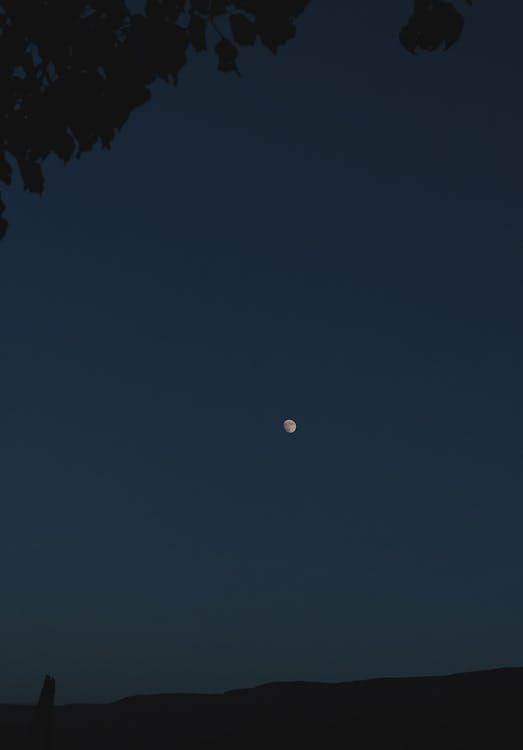Full Moon in Blue Night Sky · Free Stock Photo