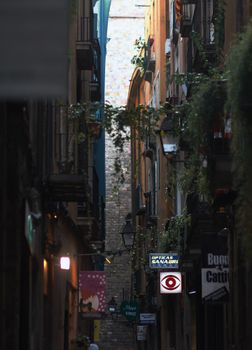 A dimly lit narrow alley with signs, plants, and lamps at night.