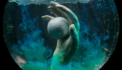 Foto stok gratis air, akuarium, berbentuk bola