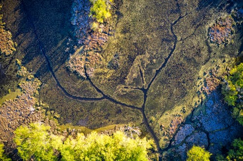 Fotobanka s bezplatnými fotkami na tému denné svetlo, exteriéry, krajina