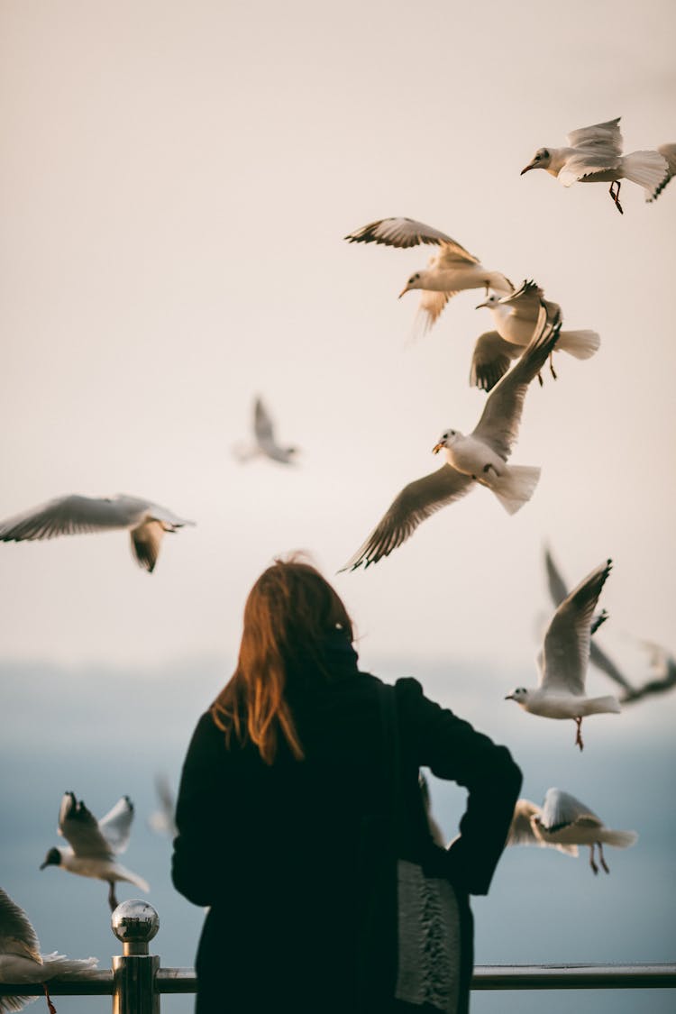 Birds Flying Near A Woman 