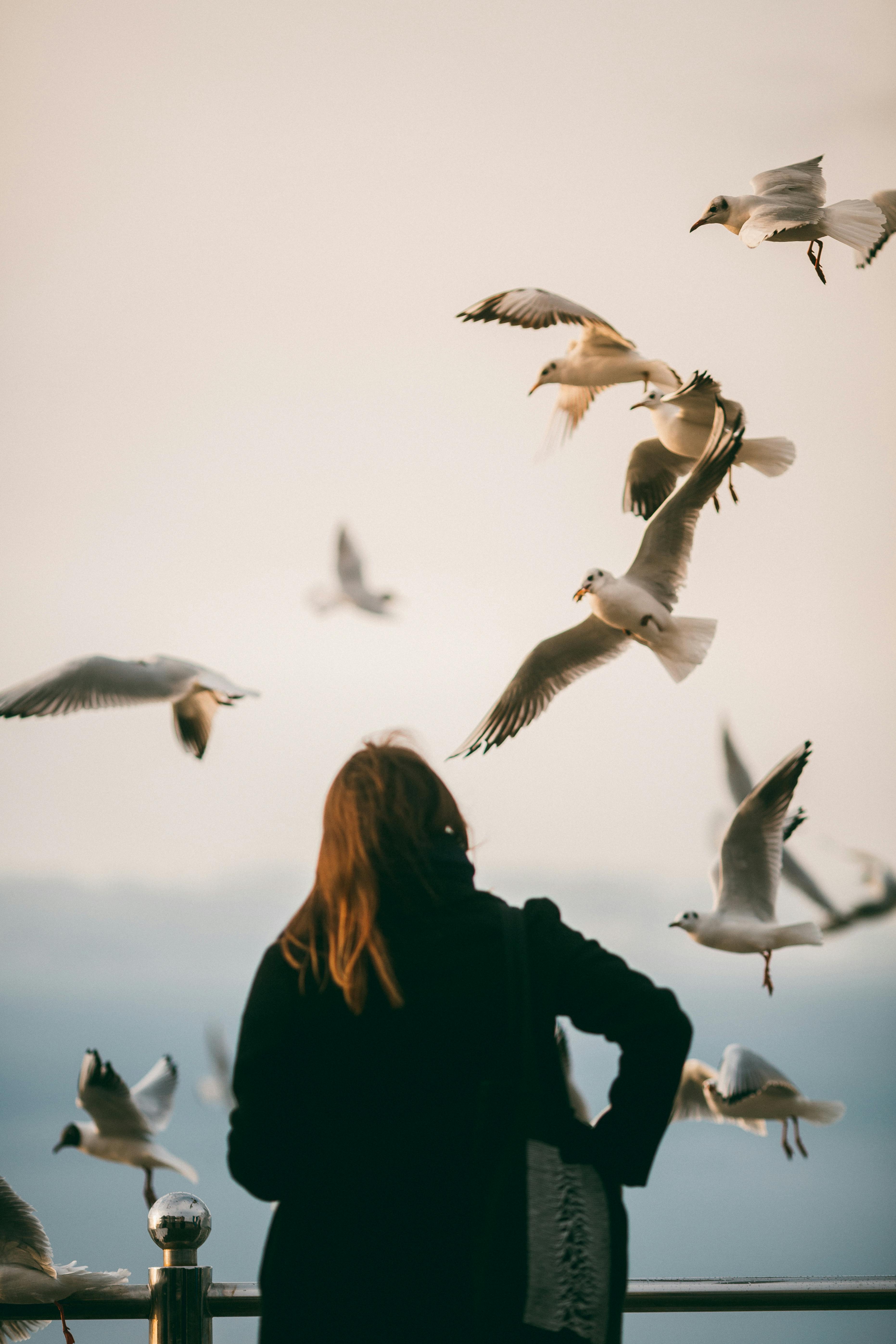 girl flying with birds