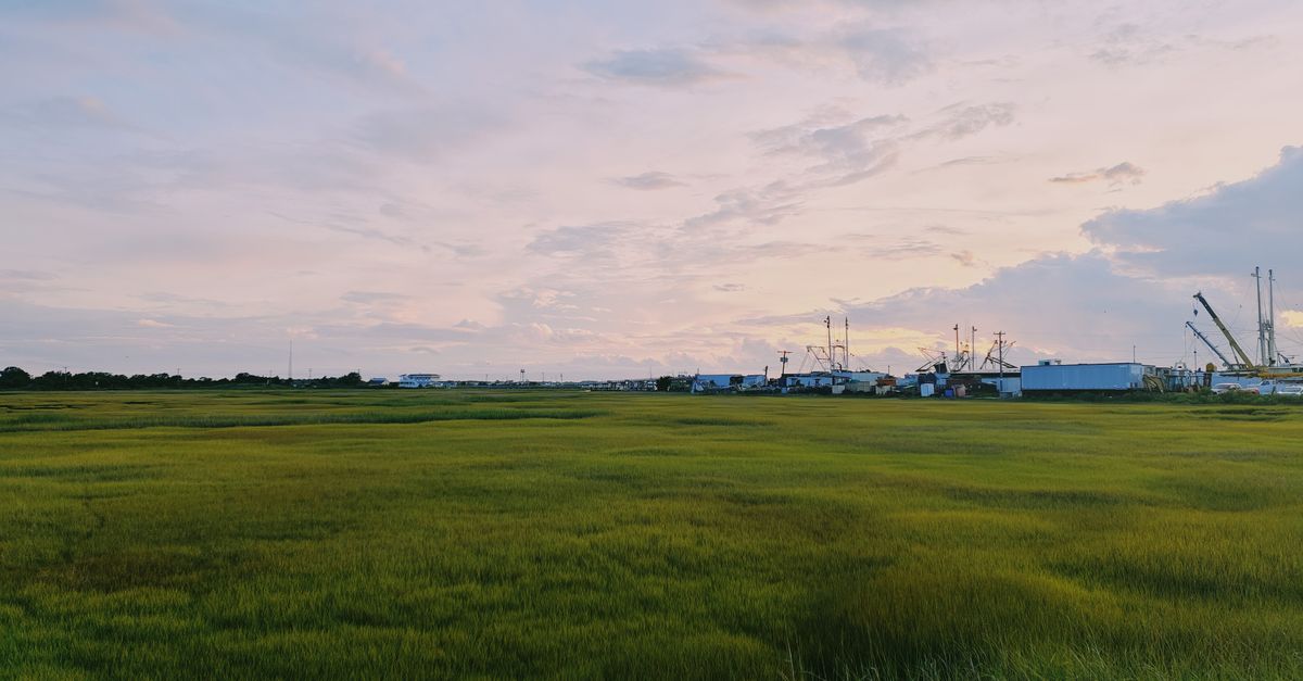 Peaceful scene of green fields with an industrial backdrop at dusk in Wildwood, NJ.