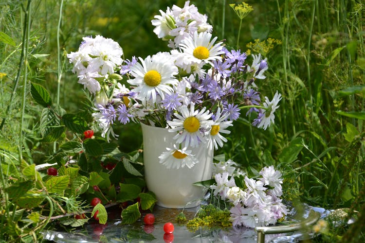 Flowers In Vase In Garden