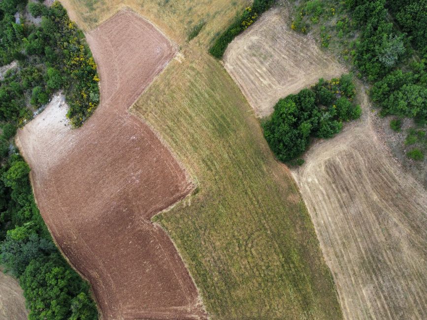 Una impresionante toma aérea de diversas texturas agrícolas y vegetación exuberante.